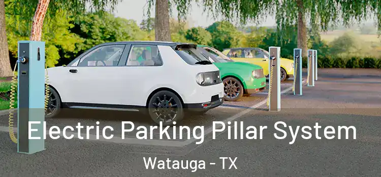  Electric Parking Pillar System Watauga - TX
