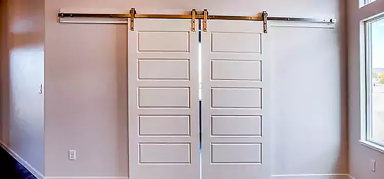 Glass Barn Door with Installation Hardware Kit Watauga