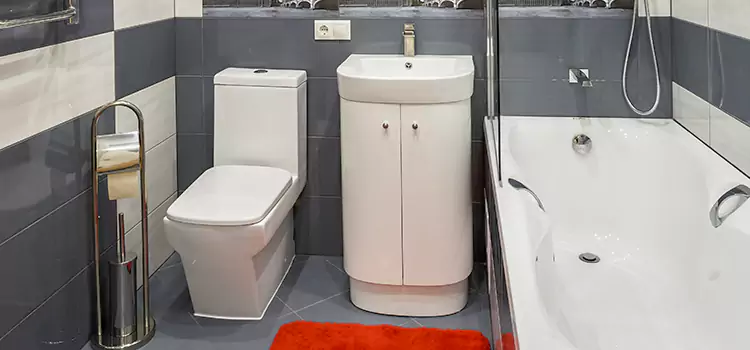 Hansgrohe Shaving Mirror Watauga